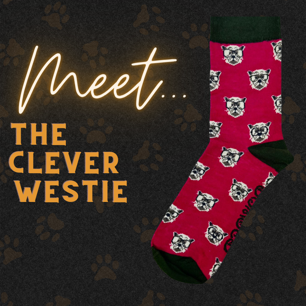 Men's Bamboo Ankle Socks CLEVER WESTIE Perfect Gift by Powder Design